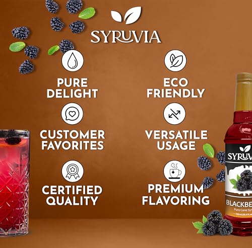 Blackberry Syrup (25.4 Fl Oz)