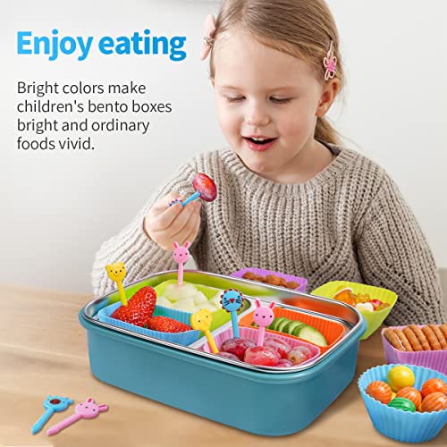 Silicone Bento Lunch Box Dividers 3 Shapes of Standard Round & Square & Rectangle (3 Count)