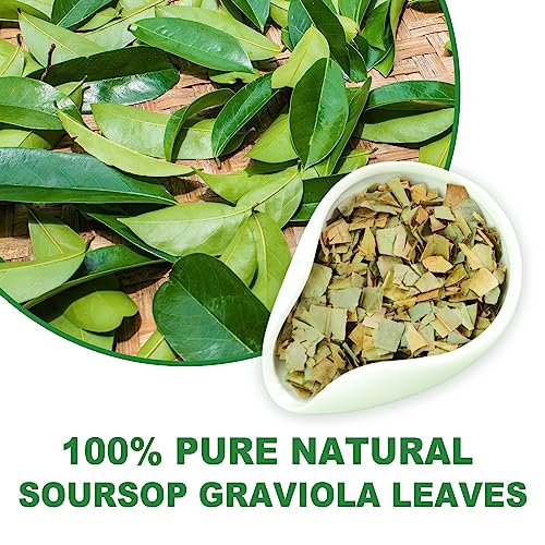 Soursop Leaves Tea (50 Count)