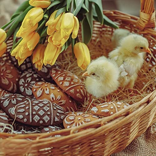 Wooden Springerle Cookie Molds for Baking