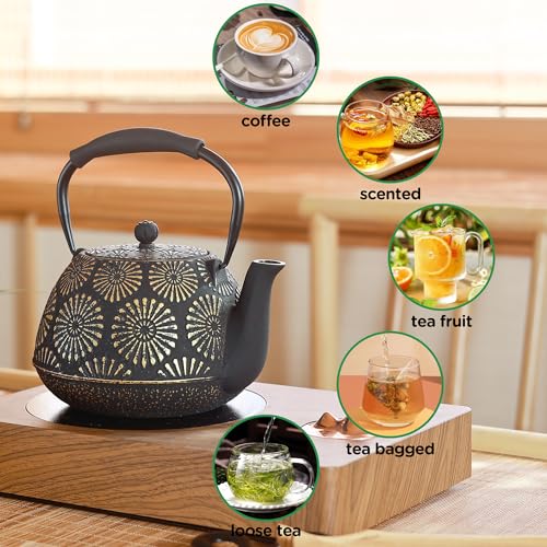 Cast Iron Teapot