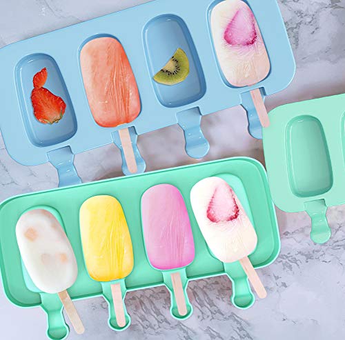 Popsicle Molds Set of 2 (2 Count)