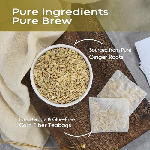 Ginger Tea Bags (100 Count)