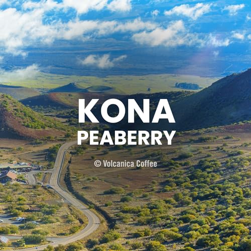 Kona Peaberry Coffee (16 Ounce)