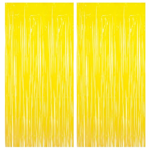 Fringe Curtain Backdrop (2 Count)
