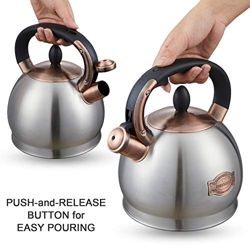 Tea Kettle 2.8 Quart Tea Kettles Stovetop Whistling Teapot Stainless Steel Tea Pots for Stove Top Whistle Tea Pot