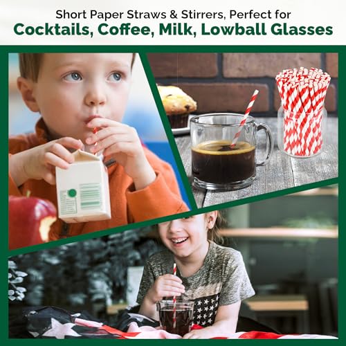 500 Counts] Chunspak 5.75 inch Disposable Red White Striped Small Paper Straws for Cocktail