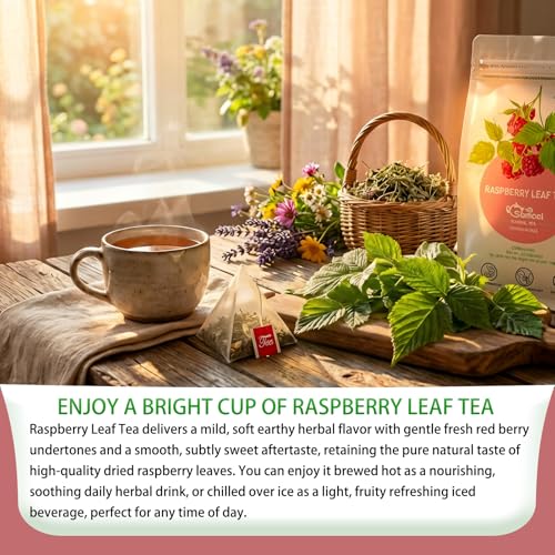 Raspberry Leaf Tea Bag (40 Count)