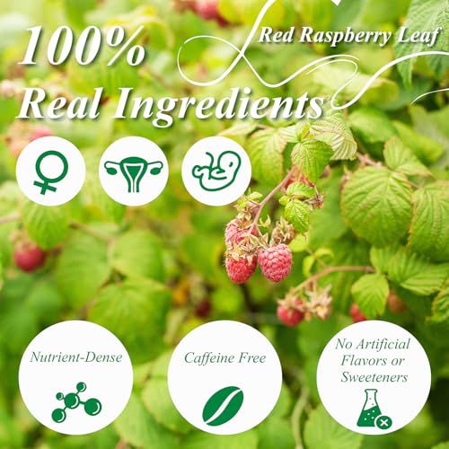 Red Raspberry Leaf Tea Bags (60 Count)