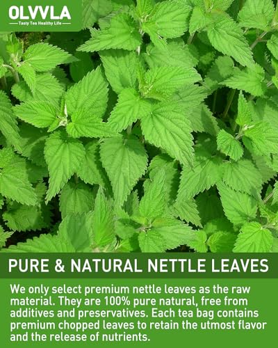 Nettle Leaf Tea (60 Count)