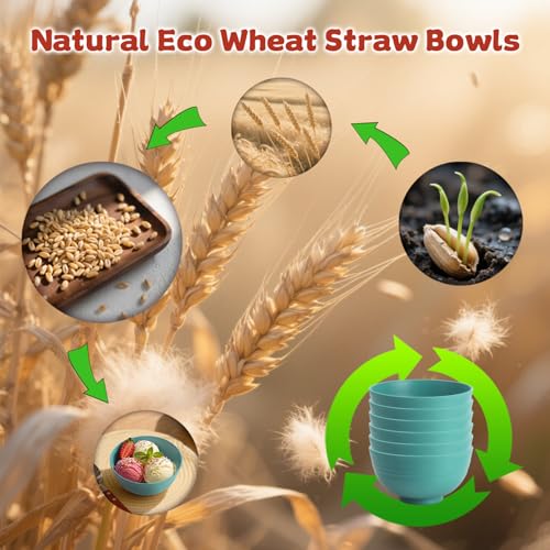 Small Wheat Straw Bowls Sets of 6