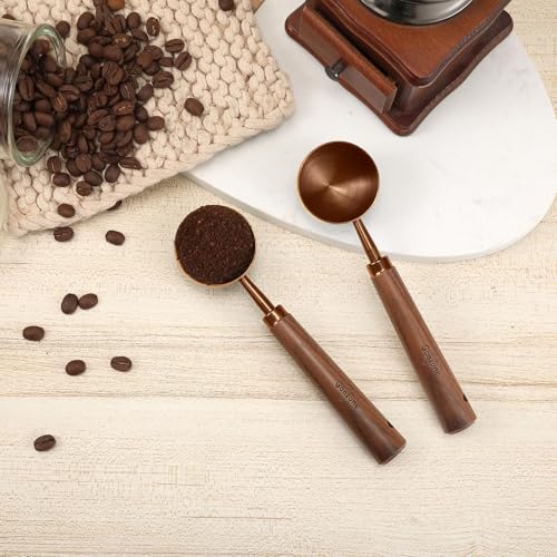 Vintage Coffee Measuring Spoon (2 Count)