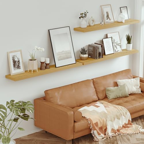 Deep Floating Shelves 55x10” Set of 1