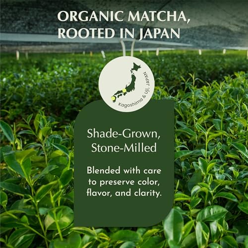 Matcha Powder Barista Grade Latte Organic Matcha Powder (2.12 Ounce)
