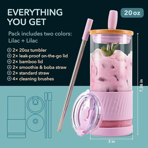 Glass Cups With Lids and Straws (2 Count)