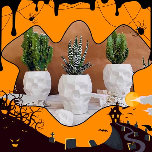 Skull Resin Mold
