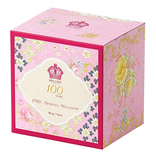 100 Years 1920 Mug