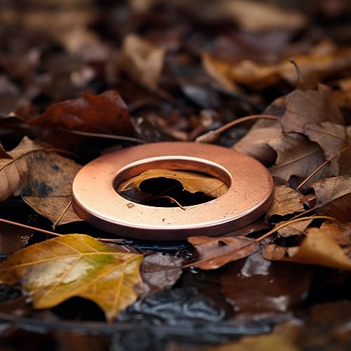 M5 Flat Washer Copper Sealing Ring (100 Count)