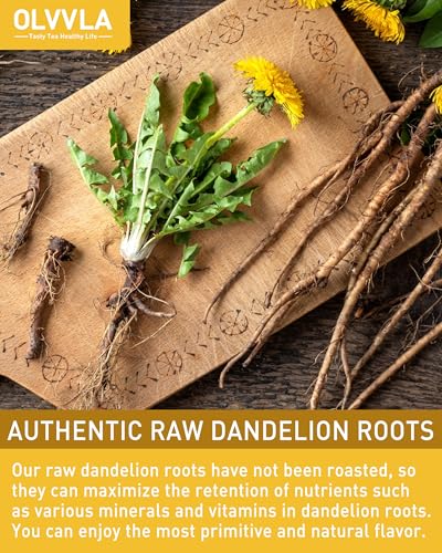 Dandelion Root Tea Bags (80 Count)