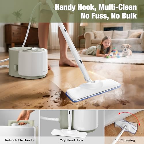 Heavy Duty Steam Cleaner