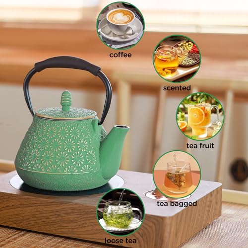 Cast Iron Teapot