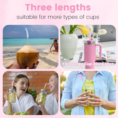 Anti Wrinkle Straw 6 Pcs for Stanley (6 Count)