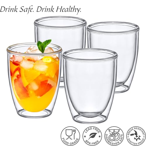 Andes - 14-Ounce Insulated Plastic Tumblers (Set of 4), Double-Wall Plastic Drinking Glasses, All-Clear Reusable Plastic Cups, BPA-Free, Shatter-Proof, Dishwasher-Safe (4 Count)