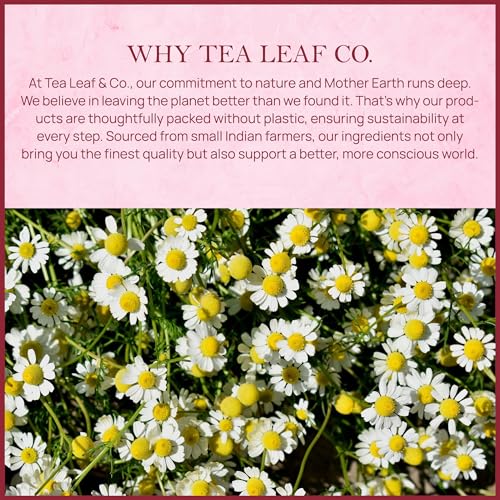 Tealeaf & Co. Chamomile Rose Citrus Herbal Tea Bags (7.055 Ounce)