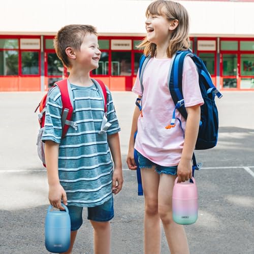 17 oz Insulated Lunch Containers