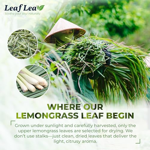 Premium Lemongrass Herbal Tea Bags (80 Count)