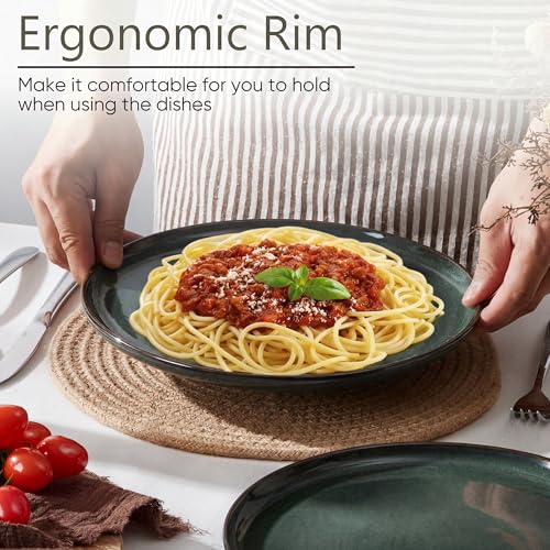 Ceramic 10.43 Inch Dinner Plates Set of 6