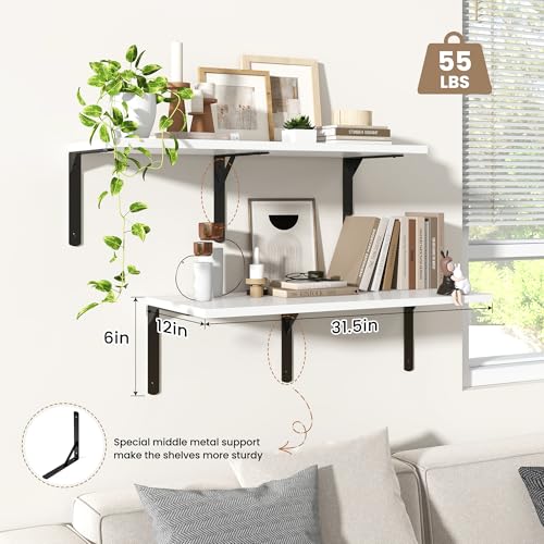 Floating Shelves for Wall (2 Count)