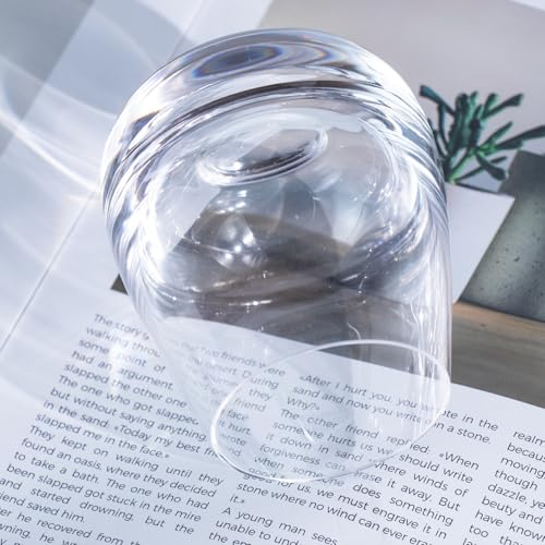 Glass Tumbler 11.83 oz (2 Count)