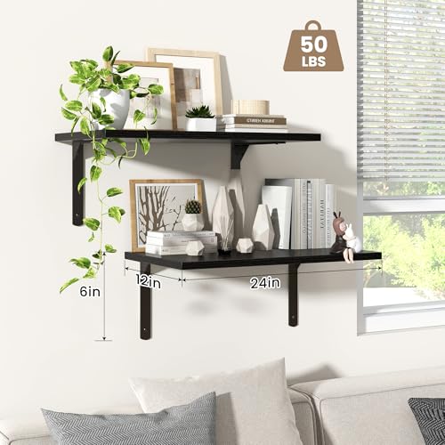 Floating Shelves for Wall (2 Count)