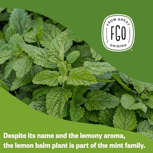 Organic Lemon Balm Tea (100 Count)