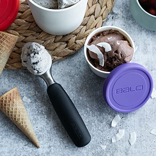 8oz Mini Ice Cream Containers (4 Count)