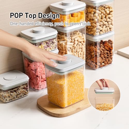 Food Storage Containers with Lids (2 Count)