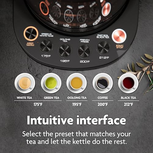 Viante Alba Electric Tea Kettle With Infuser