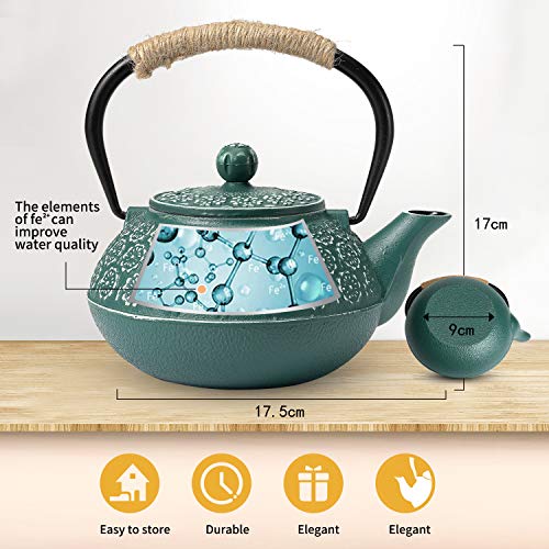 Cast Iron Tea Pot with Infusers for Loose Tea