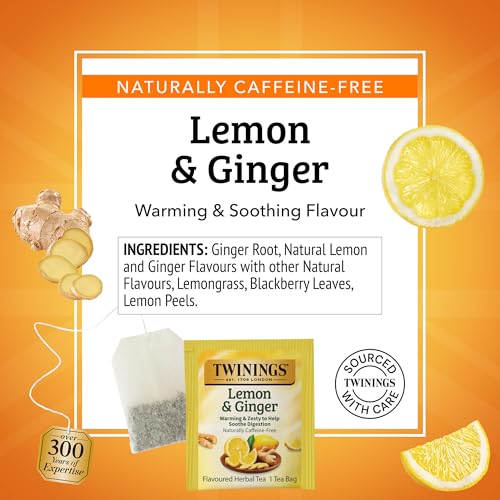 Lemon & Ginger Herbal Tea Individually Wrapped Bags (120 Count)