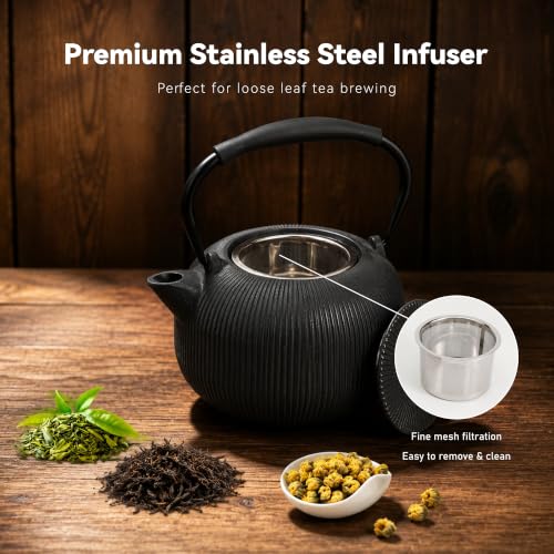 Cast Iron Teapot Set with 2 Cups