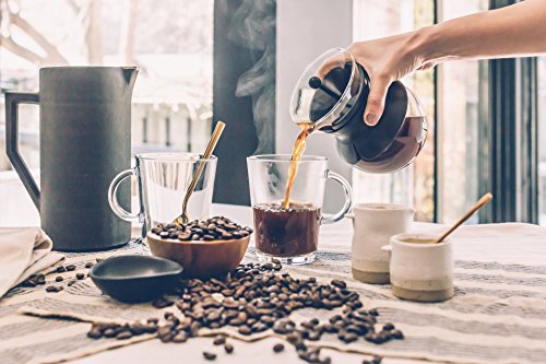 Stainless Steel Coffee Scoop Set (2 Count)