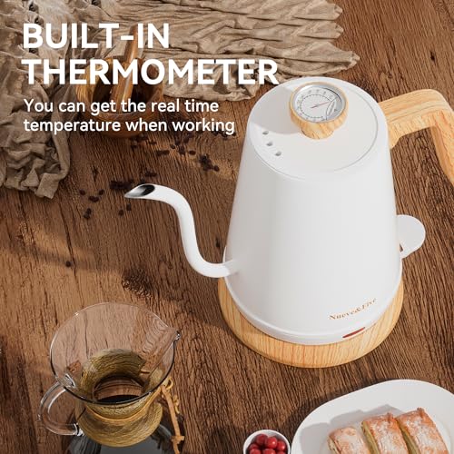 Electric Gooseneck Kettle with Thermometer