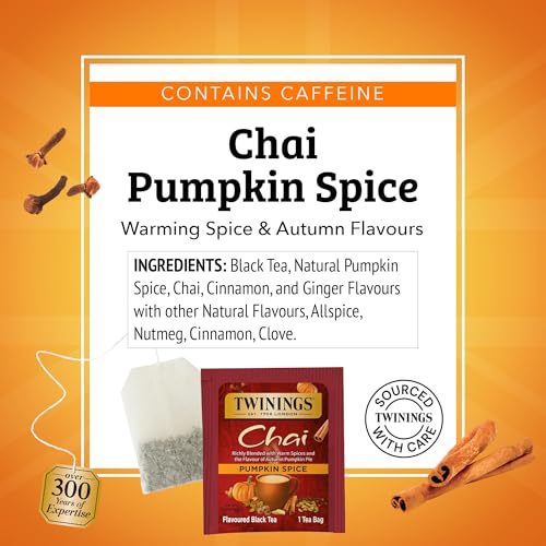 Pumpkin Spice Chai Black Tea Individually Wrapped Bags (20 Count)