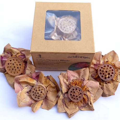 Lotus Flower Tea Bloom Flowering Teas (4 Count)