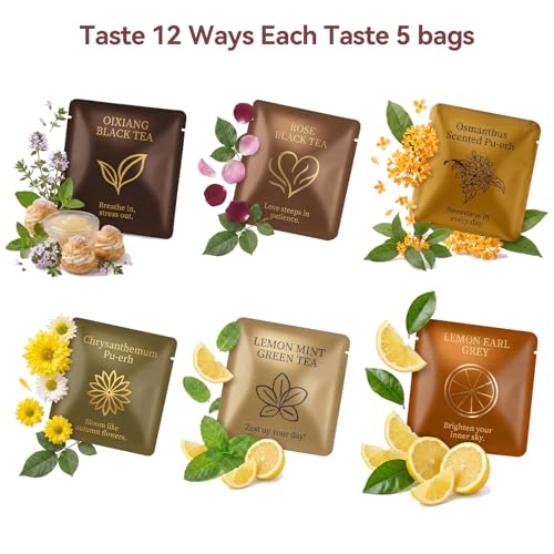 Book Tea Gift Set (60 Count)