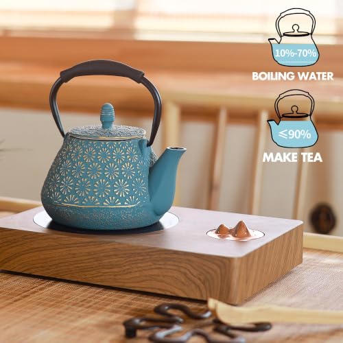 Cast Iron Teapot