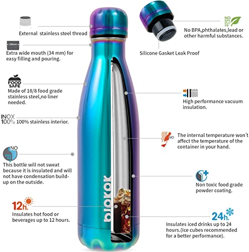 17 oz Insulated Water Bottle