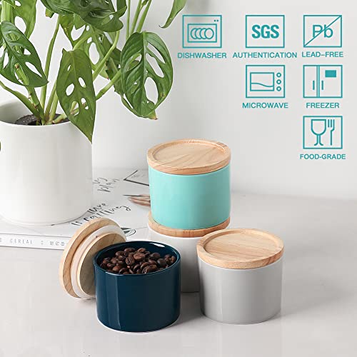 Sweejar Kitchen Canisters Ceramic Food Storage Jar
