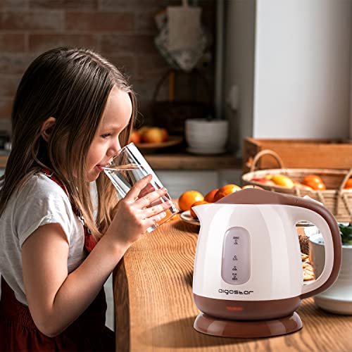 Small Electric Kettle